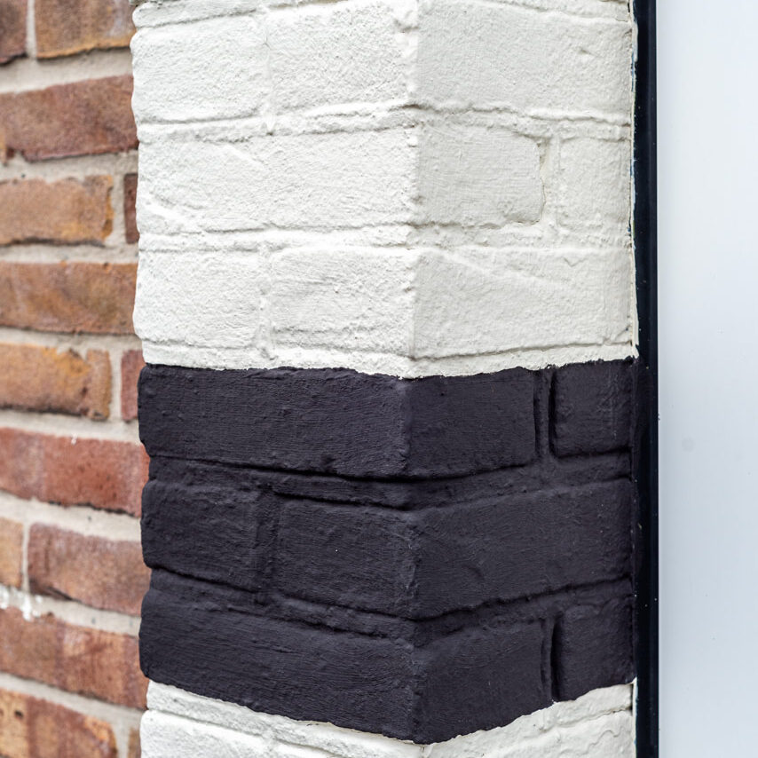 Project-Prins-Bernhardlaan-in-Haarlem-muurschilderen