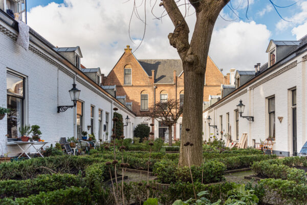 In-den-Groenen-Tuin-in-Haarlem-tuin